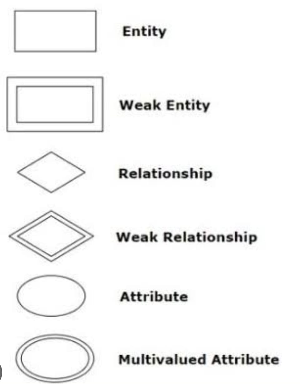 E R  (Entity Relationship) Model in Hindi 
